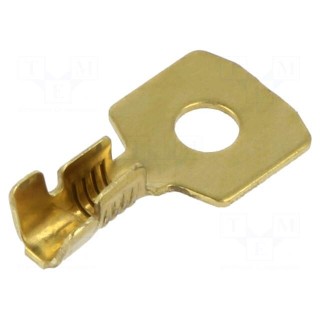 Tip: ring | M4 | 1÷2.5mm2 | crimped | for cable | straight | brass | bulk