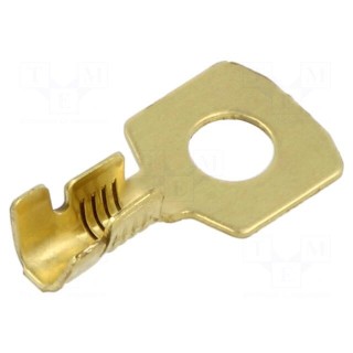 Tip: ring | M5 | 1÷2.5mm2 | crimped | for cable | straight | brass | bulk