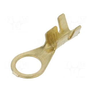 Tip: ring | M6 | 1÷2.5mm2 | crimped | for cable | straight | none | brass