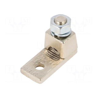 Tip: ring | M8 | 50mm2 | crimped | for cable | non-insulated | brass