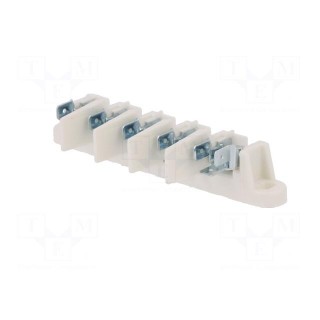 Connector: terminal block | 6.3mm connectors  x3,screw terminal