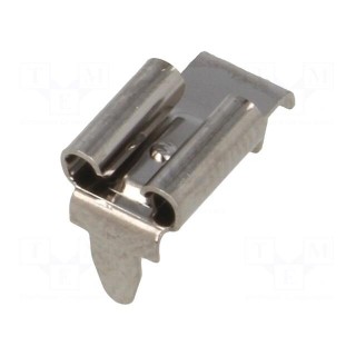 Terminal: flat | 5.2mm | 0.5mm | female | THT | brass | tinned | angled 90°