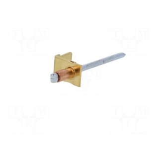Terminal: flat | 6.3mm | 0.8mm | male | with copper rivet | riveted