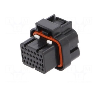 3900113-2621=PLUG HOUSING ASSY