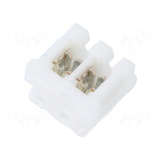 Plug | wire-board | female | CT | 2mm | PIN: 2 | IDC | for cable | AMP