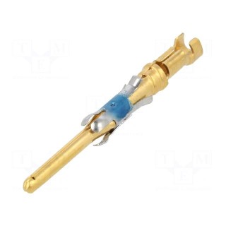 Contact | male | 16 | brass | gold-plated | Type III+ | bulk | crimped