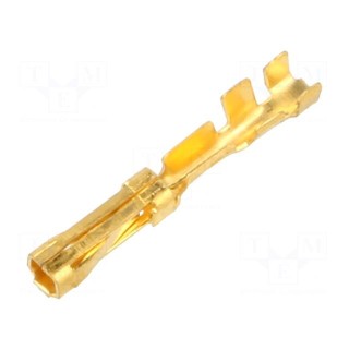 Contact | female | selectively gold plated | 0.04÷0.08mm2 | bulk