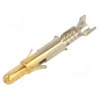 Contact | male | brass | selectively gold plated | 0.2÷0.8mm2 | bulk