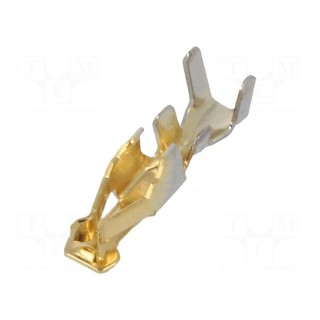 Contact | female | selectively gold plated | 30AWG÷24AWG | crimped
