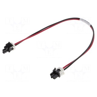 Minifit 2 Circuit 300MM Cable Assembly