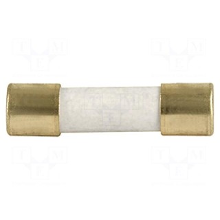 Fuse: fuse | time-lag | 16A | 250VAC | 125VDC | SMD | ceramic,cylindrical