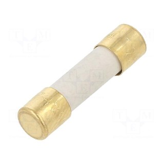 Fuse: fuse | time-lag | 2.5A | 250VAC | 300VDC | SMD | 5x20mm | copper