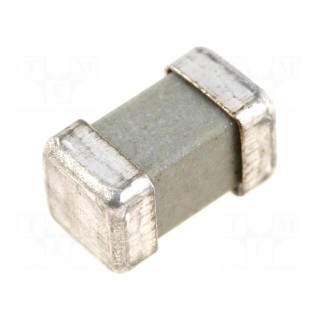 Fuse: fuse | time-lag | 1.25A | 250V | SMD | ceramic | 8x4,5x4,5mm | brass