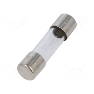 Fuse: fuse | quick blow | 10A | 32VAC | cylindrical,glass | 5x20mm | D1