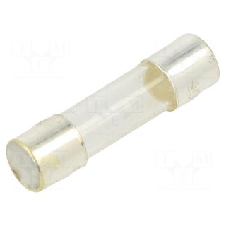 Fuse: fuse | quick blow | 300mA | 250VAC | cylindrical,glass | 5x20mm