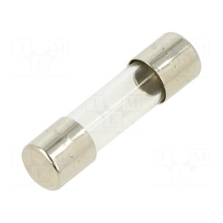 Fuse: fuse | quick blow | 310mA | 220VAC | cylindrical,glass | 5x20mm