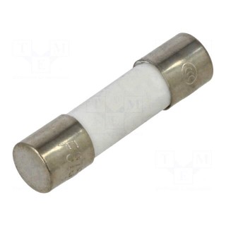 Fuse: fuse | quick blow | 315mA | 250VAC | ceramic | 5x20mm | brass | FCD