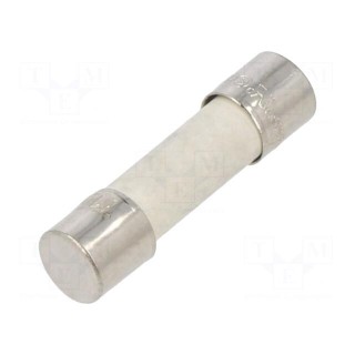 Fuse: fuse | time-lag | 10A | 250VAC | ceramic,cylindrical | 5x20mm