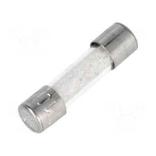 Fuse: fuse | time-lag | 10A | 250VAC | cylindrical,glass | 5x20mm | brass