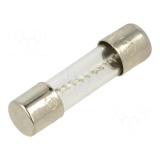 Fuse: fuse | time-lag | 10A | 250VAC | cylindrical,glass | 5x20mm | brass