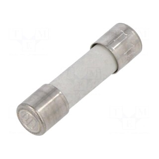 Fuse: fuse | time-lag | 10A | 250VAC | ceramic,cylindrical | brass