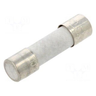 Fuse: fuse | time-lag | 2.5A | 250VAC | ceramic | 5x20mm | brass | bulk