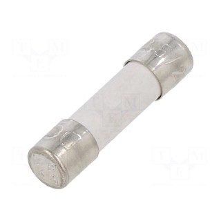 Fuse: fuse | time-lag | 2.5A | 250VAC | ceramic,cylindrical | 5x20mm