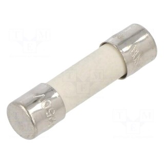 Fuse: fuse | time-lag | 2A | 250VAC | ceramic,cylindrical | 5x20mm | S505