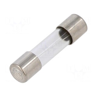 Fuse: fuse | time-lag | 3.15A | 250VAC | cylindrical,glass | brass
