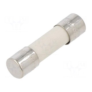 Fuse: fuse | time-lag | 3.15A | 500VAC | cylindrical,glass | 5x20mm | 477