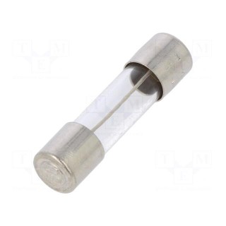 Fuse: fuse | time-lag | 32mA | 250VAC | cylindrical,glass | 5x20mm