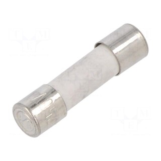 Fuse: fuse | time-lag | 6.3A | 250VAC | ceramic,cylindrical | brass