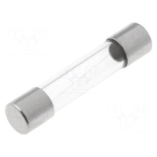 Fuse: fuse | time-lag | 100mA | 250VAC | cylindrical,glass | 6,3x32mm