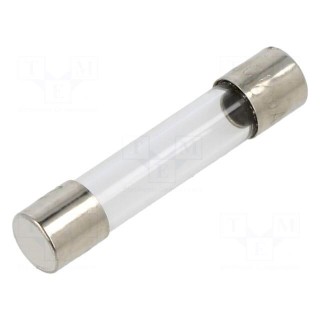 Fuse: fuse | quick blow | 100mA | 250VAC | cylindrical,glass | 6.3x32mm