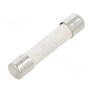 Fuse: fuse | time-lag | 10A | 250VAC | cylindrical,glass | brass | GSA