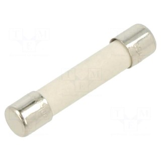 Fuse: fuse | time-lag | 15A | 250VAC | cylindrical,glass | brass | GSA
