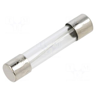 Fuse: fuse | time-lag | 300mA | 250VAC | cylindrical,glass | 6.3x32mm