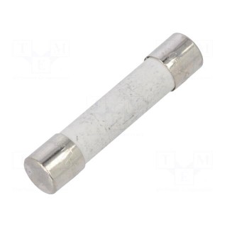 Fuse: fuse | time-lag | 30A | 250VAC | ceramic,cylindrical | bronze | SUT