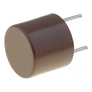 Fuse: fuse | quick blow | 40mA | 250VAC | THT | TR5 | copper | Pitch: 5.08mm