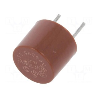 Fuse: fuse | time-lag | 1A | 250VAC | TR5 | Pitch: 5.08mm | 887.100