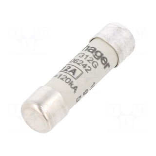Fuse: fuse | gG,time-lag | 12A | 500VAC | cylindrical,industrial