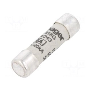 Fuse: fuse | gG,time-lag | 16A | 500VAC | cylindrical,industrial