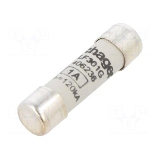 Fuse: fuse | gG,time-lag | 1A | 500VAC | cylindrical,industrial