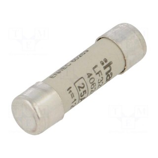 Fuse: fuse | gG,time-lag | 25A | 500VAC | cylindrical,industrial