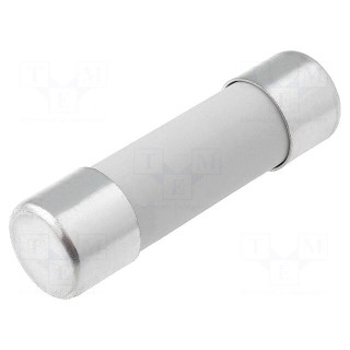 Fuse: fuse | gG | 40A | 500VAC | ceramic,cylindrical,industrial