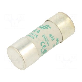 Fuse: fuse | aM | 100A | 500VAC | ceramic,cylindrical,industrial