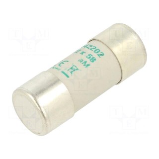 Fuse: fuse | aM | 2A | 690VAC | ceramic,cylindrical,industrial
