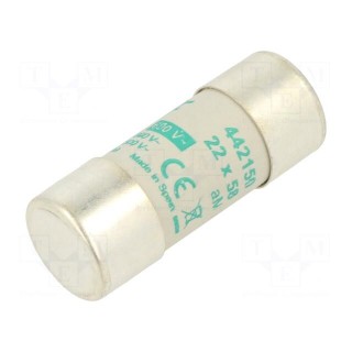 Fuse: fuse | aM | 50A | 690VAC | ceramic,cylindrical,industrial