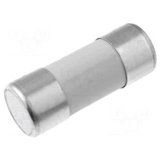 Fuse: fuse | aM | 25A | 690VAC | ceramic,cylindrical,industrial