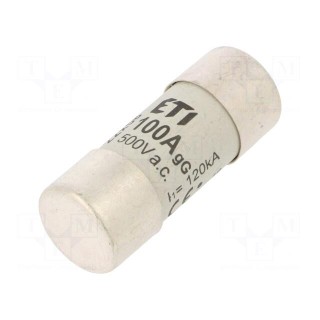 Fuse: fuse | gG | 100A | 500VAC | cylindrical,industrial | 22x58mm